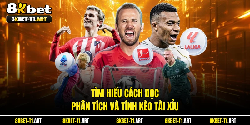 Tìm hiểu cách đọc, phân tích và tính kèo tài xỉu